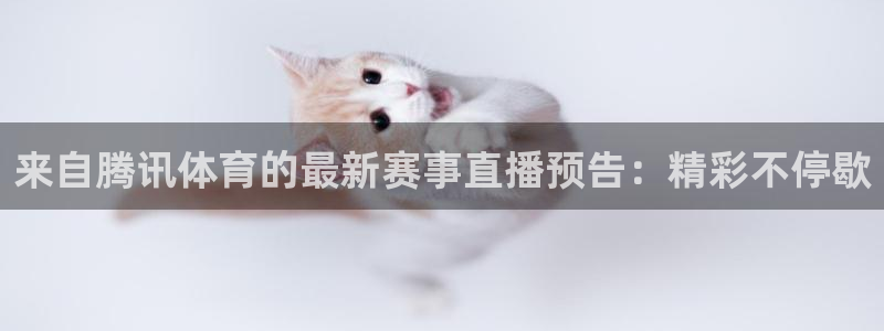 足球视频直播免费小九：来自腾讯体育的最新赛事直播预告：精彩不停歇