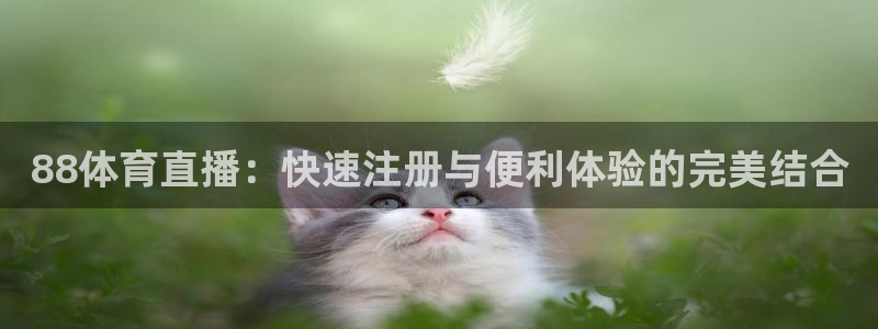 小九直播nba免费观看：88体育直播：快速注册与便利体验的完美结合