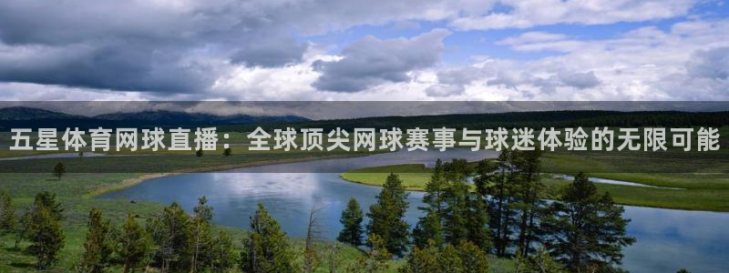 nba在线直播小九直播：五星体育网球直播：全球顶尖网球赛事与球迷体验的无限可能