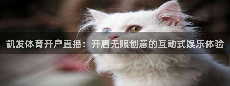 足球直播小九直播在线观看：凯发体育开户直播：开启无限创意的互动式娱乐体验