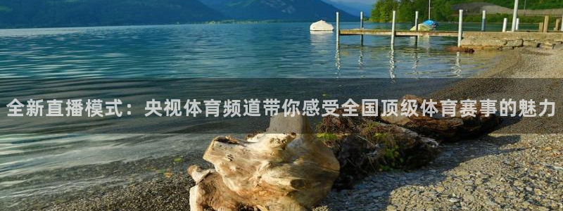 小九体育直播免费观看：全新直播模式：央视体育频道带你感受全国顶级体育赛事的魅力