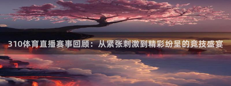 足球小九直播在线观看：310体育直播赛事回顾：从紧张刺激到精彩纷呈的竞技盛宴